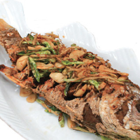 182. Fried Snapper
